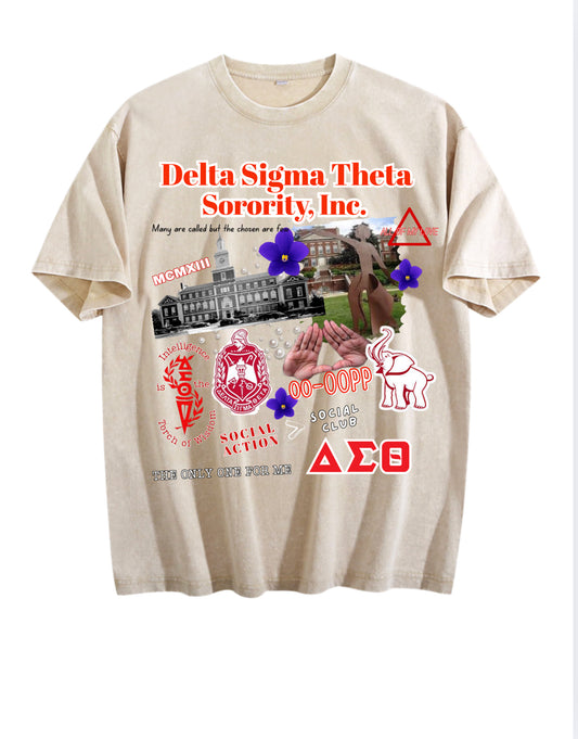 DST Collage Oversized T