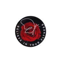 Load image into Gallery viewer, Believe In Your Flyness Pin