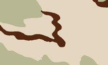 Load image into Gallery viewer, BGM Desert Camo Cropped Jacket